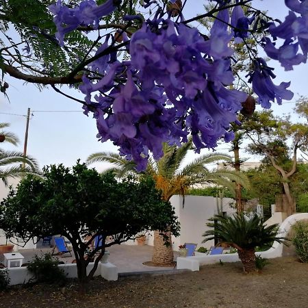 Casa Carlotta Bed & Breakfast Stromboli Exterior photo